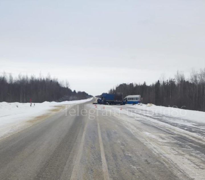 В ДТП на загородной автодороге пострадали четыре человека.