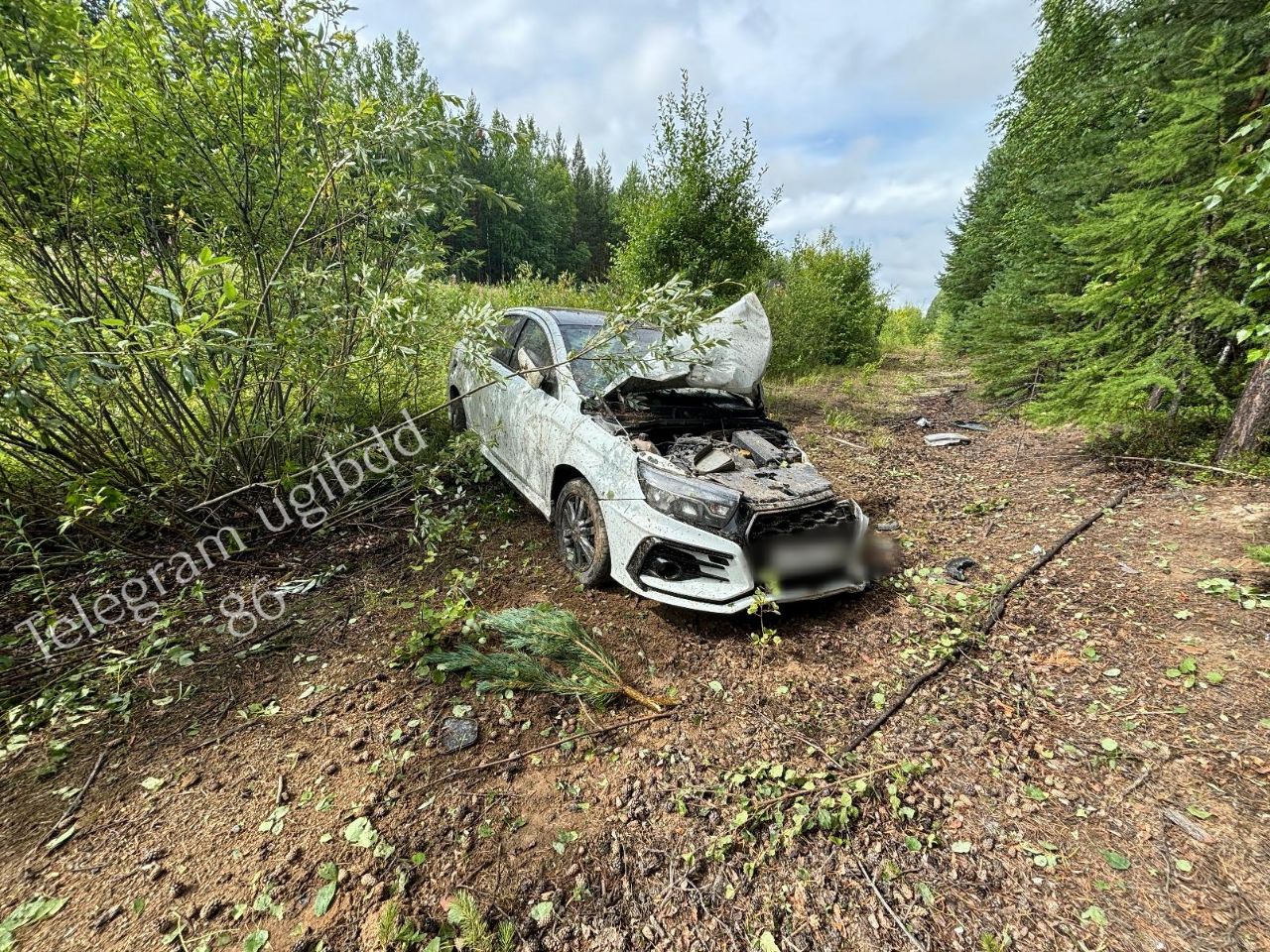 В единственном ДТП за сутки пострадал водитель легковушки.