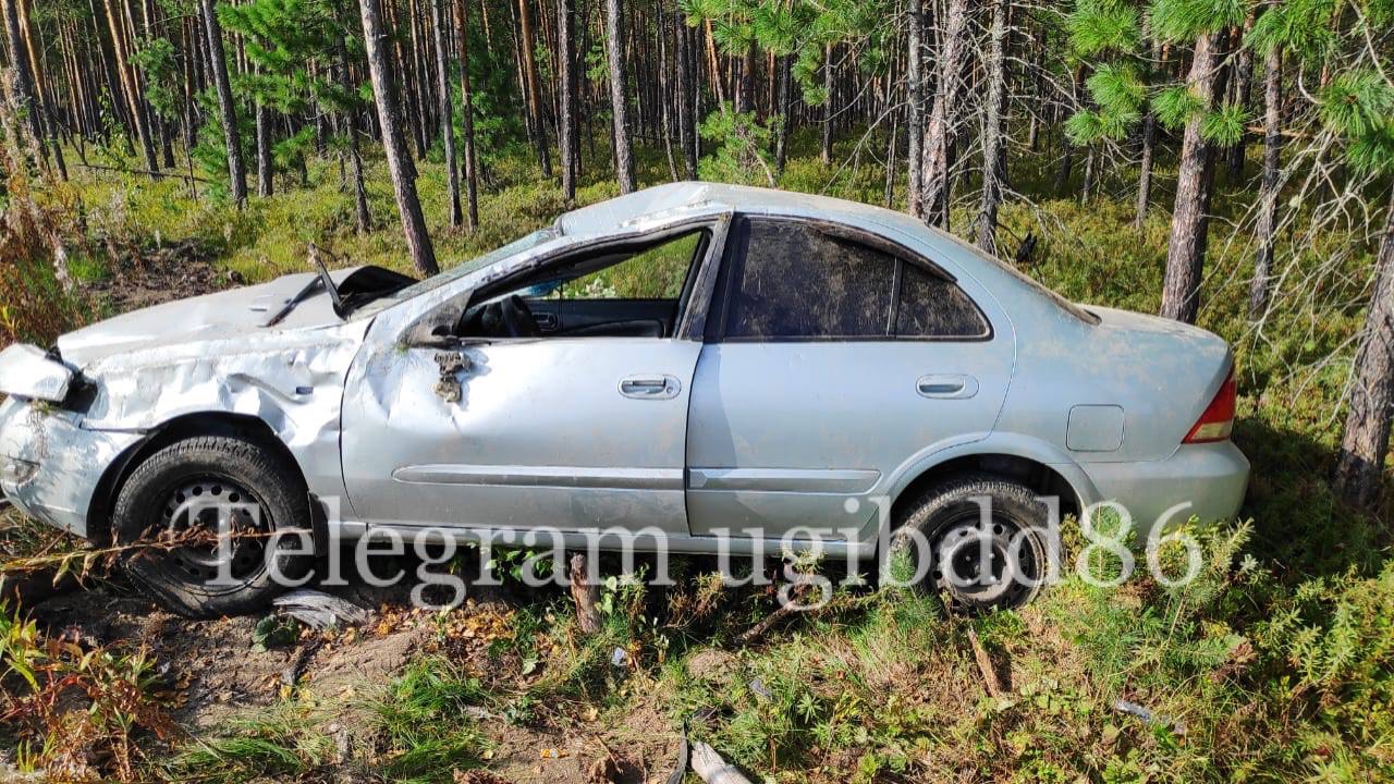 Автоледи «подшофе» устроила ДТП на трассе.