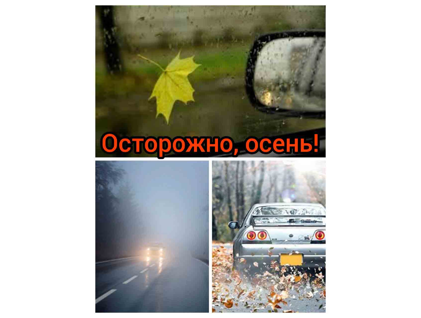 Осторожно, осень!.