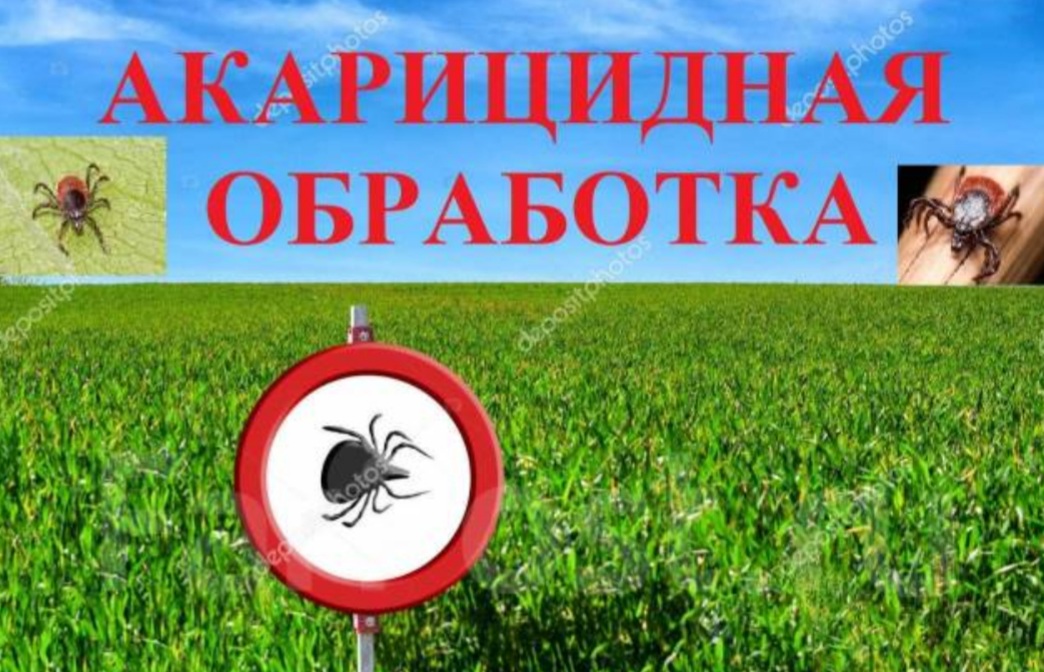 Уважаемые жители сельского поселения Каменное!.
