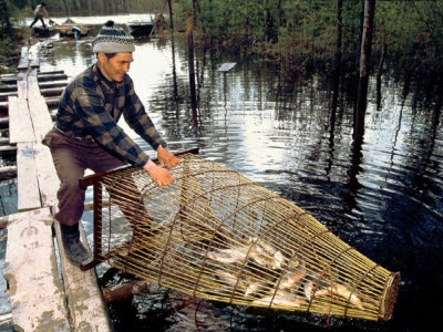 Напоминание лицам, относящимся к категории коренных малочисленных народов Севера, о правилах традиционного рыболовства.