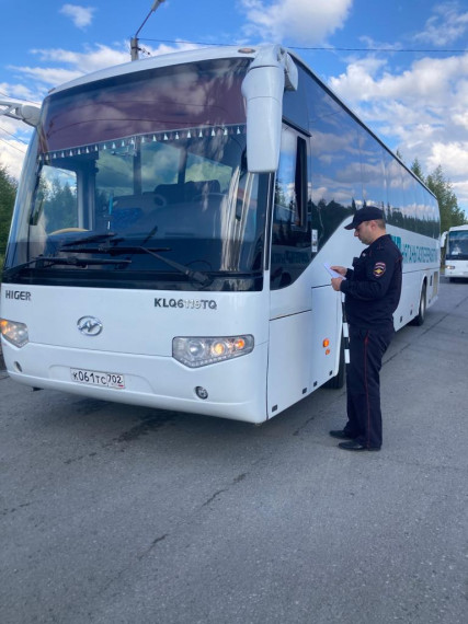 Проверка автобусов. Проверка автобусов.