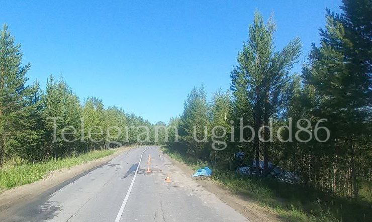В Советском районе произошло ДТП со смертельным исходом. В Советском районе произошло ДТП со смертельным исходом.