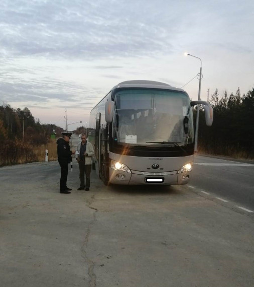 Проверка автобусов. Проверка автобусов.