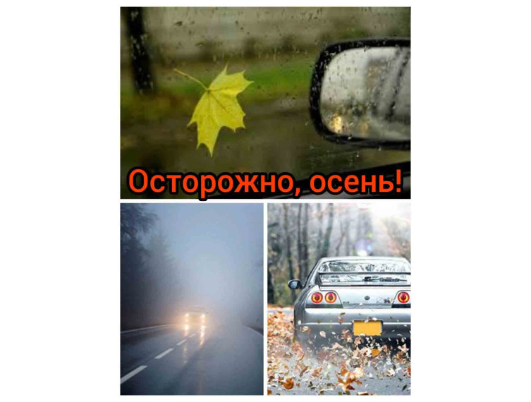 Осторожно, осень!. Осторожно, осень!.
