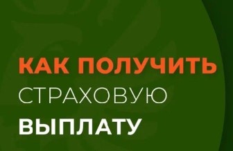 Страховые выплаты. Страховые выплаты.