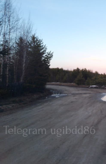 В Югре погиб пешеход. В Югре погиб пешеход.