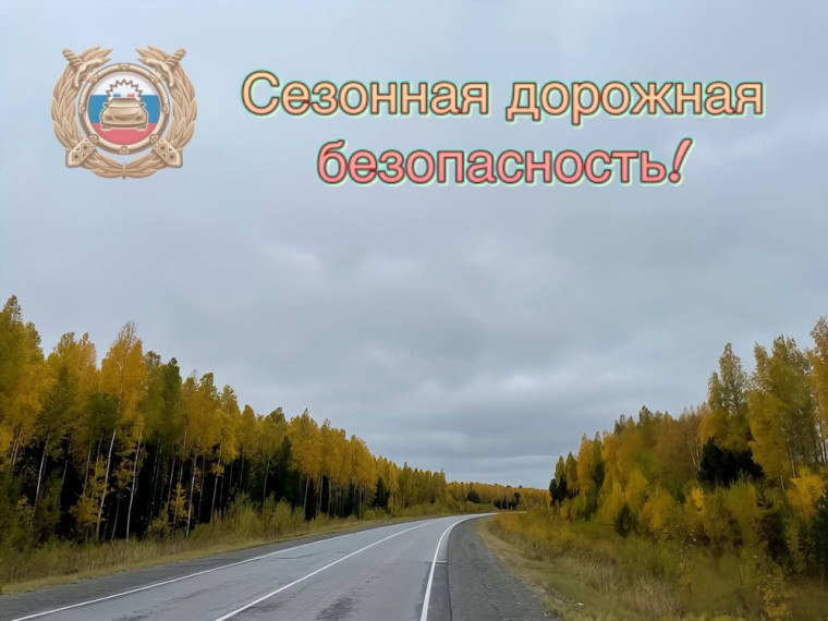Осенние советы от Госавтоинспекции или как говорится: «У природы нет плохой погоды». Осенние советы от Госавтоинспекции или как говорится: «У природы нет плохой погоды».