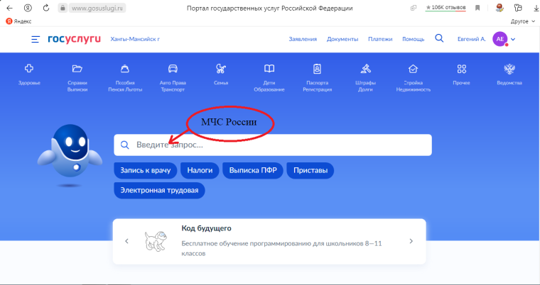 Информация по оказанию государственных услуг МЧС России. Информация по оказанию государственных услуг МЧС России.
