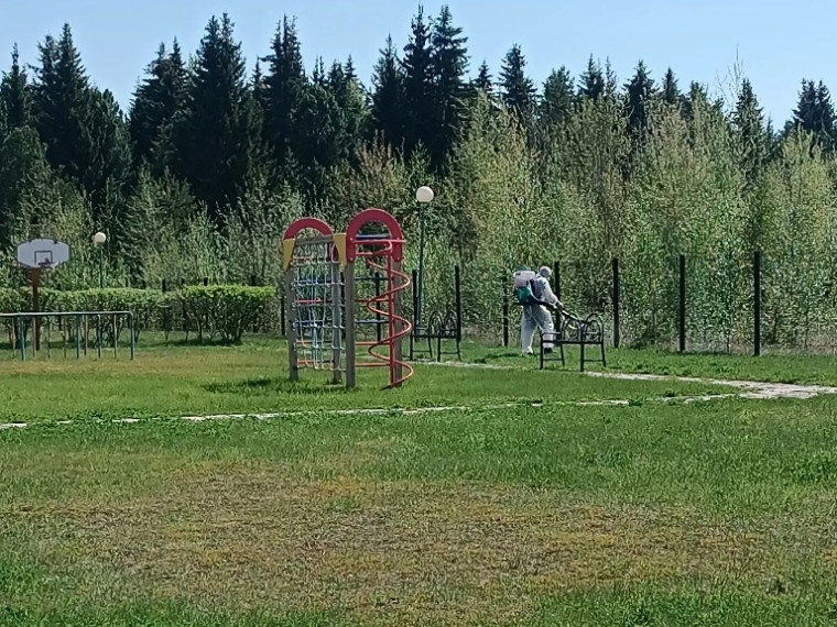 В селе Пальяново проведён 1-й этап акарицидной обработки от клеща.