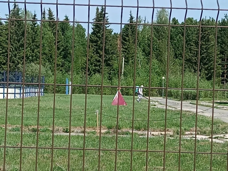 В селе Пальяново проведён 1-й этап акарицидной обработки от клеща.