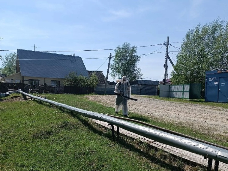 В селе Пальяново проведён 1-й этап акарицидной обработки от клеща.