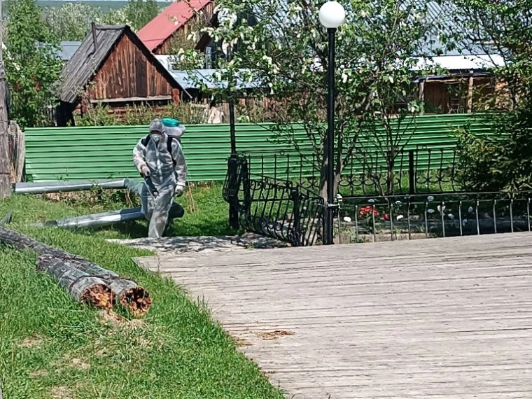 В селе Пальяново проведён 1-й этап акарицидной обработки от клеща.
